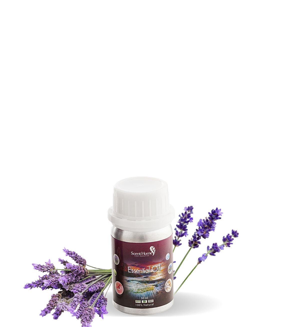 Tinh dầu Lavender Classic