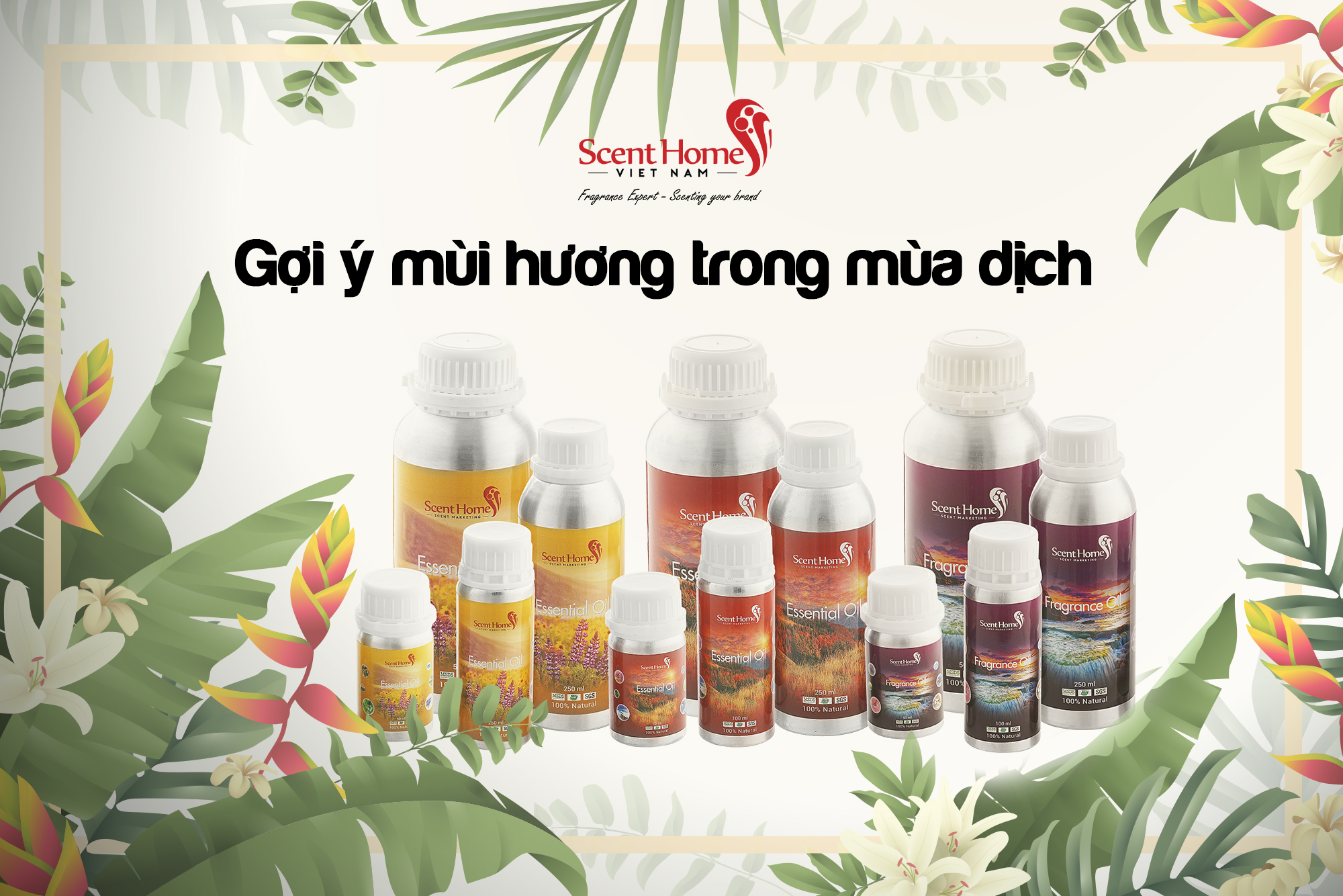 TINH DẦU LÀM SẠCH KHÔNG KHÍ NGÀY HÈ