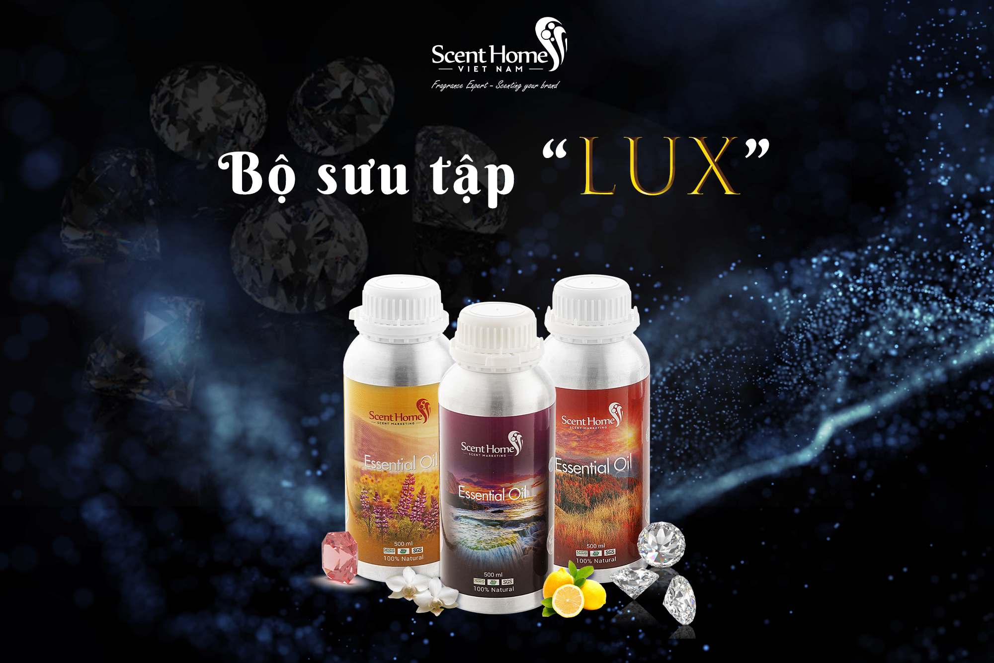 BỘ SƯU TẬP “LUX” - SỨC HÚT MẠNH MẼ TỪ HƯƠNG THƠM