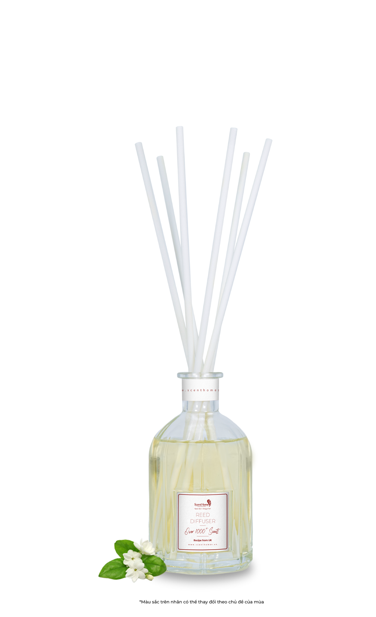 Que tán hương Cactus Blossom