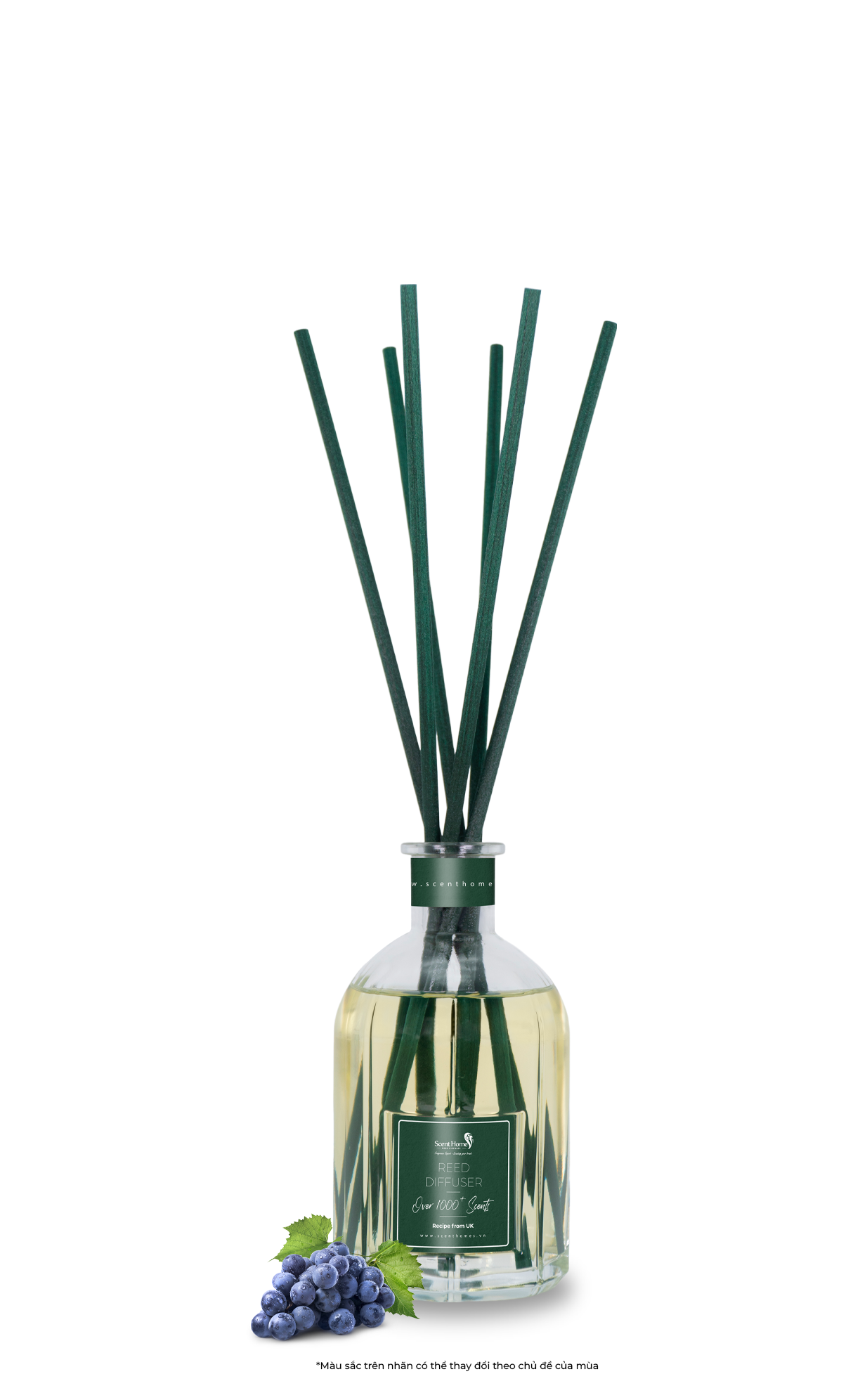 Que mây tán hương nho Grape