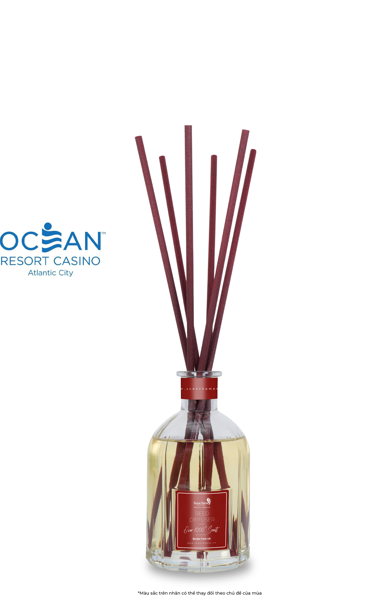 Que mây tán hương đại dương Ocean Hotel