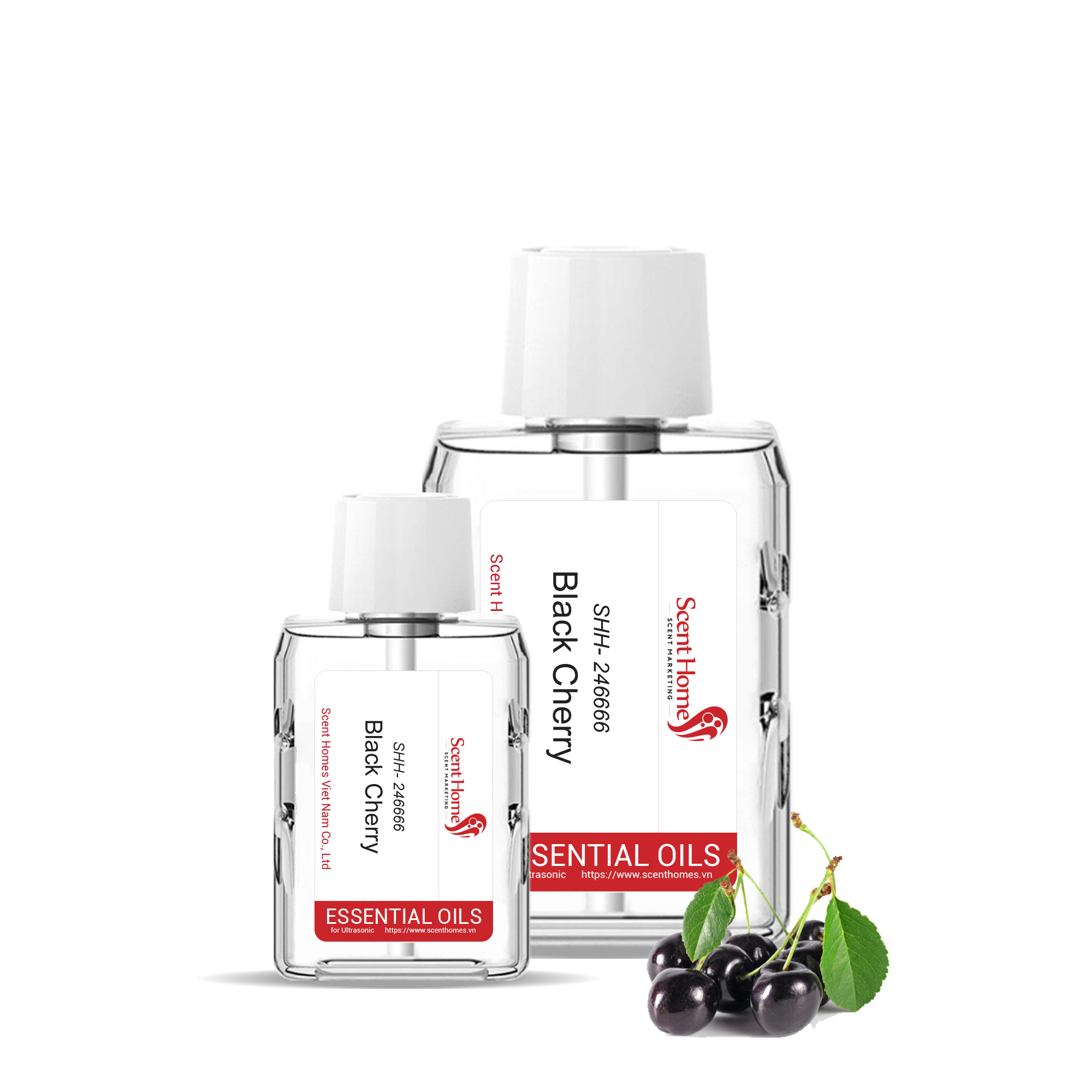 Tinh dầu Black Cherry