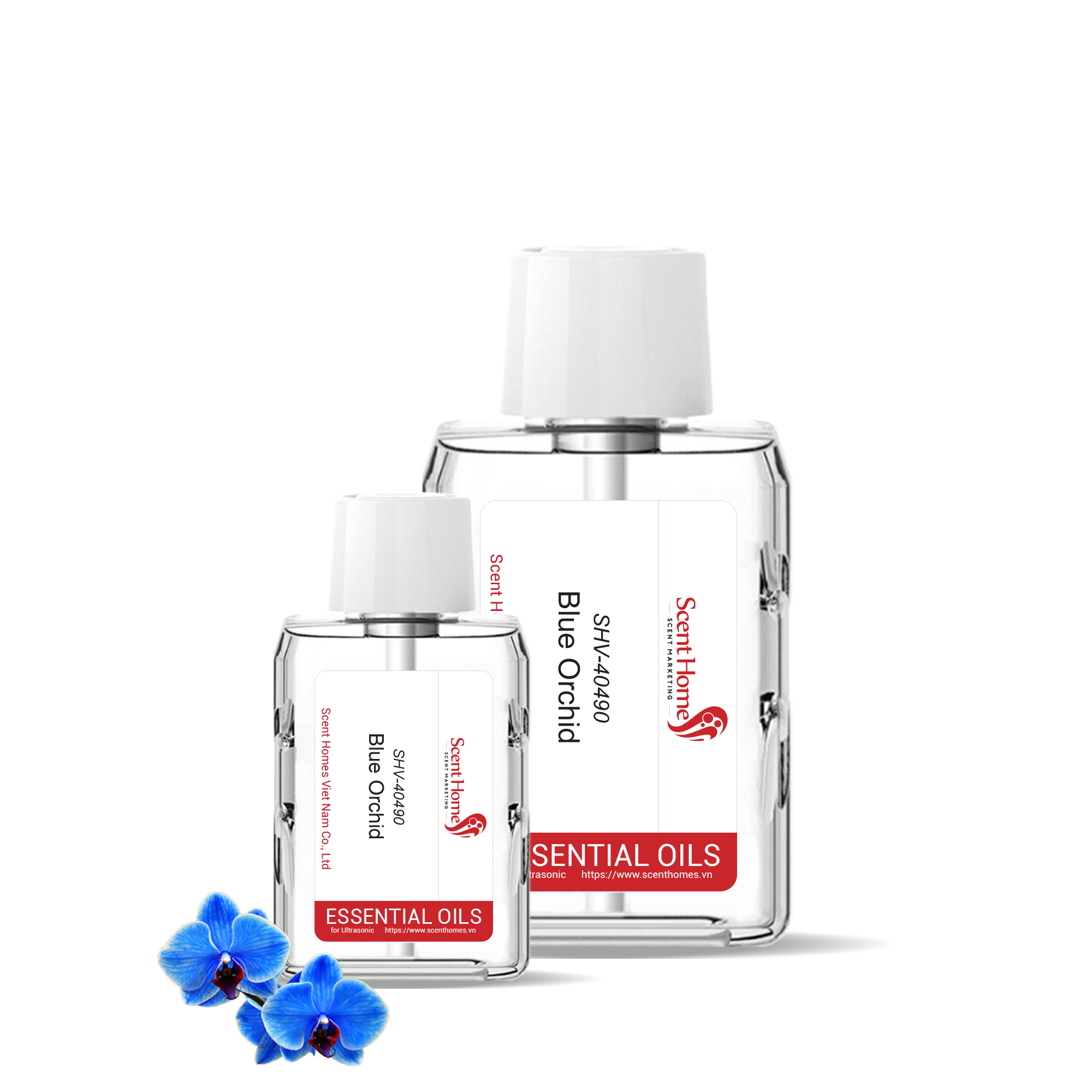 Tinh dầu Blue Orchid