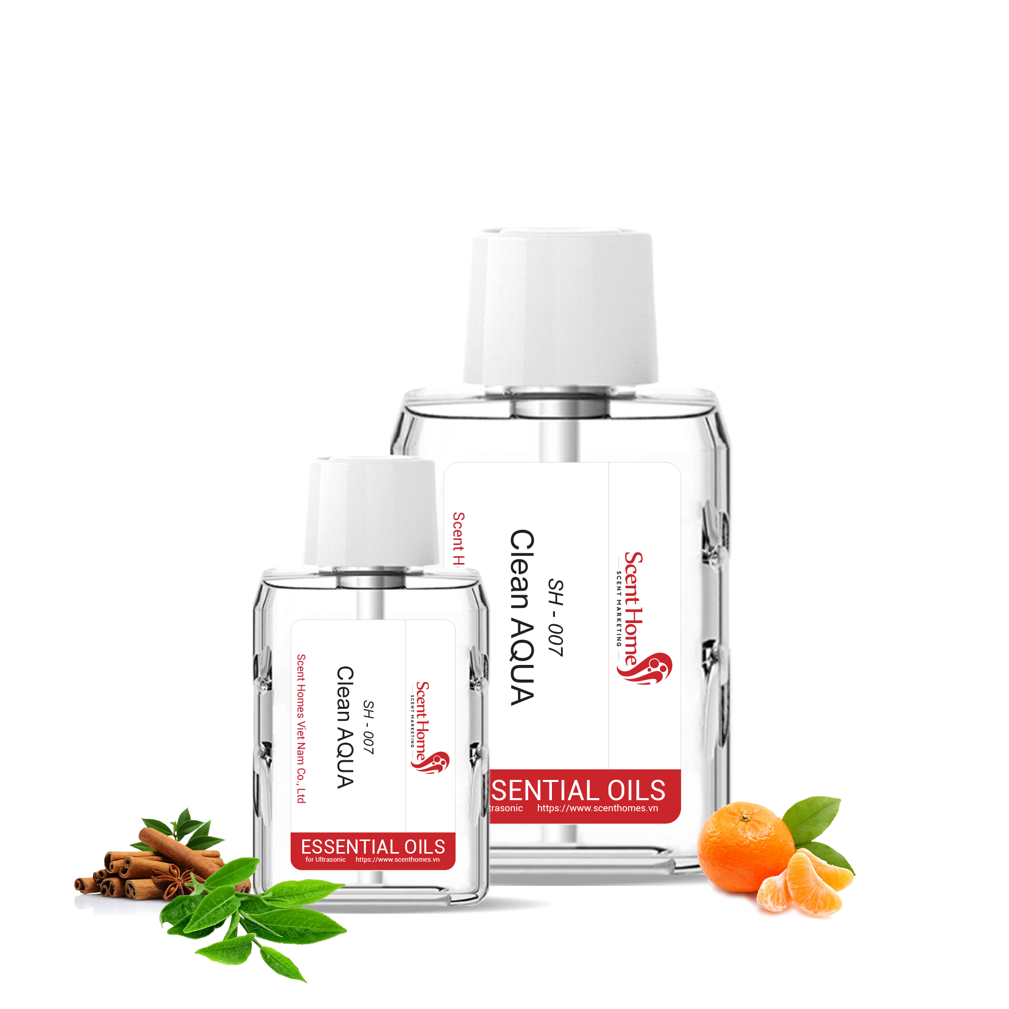 Tinh dầu Clean AQUA