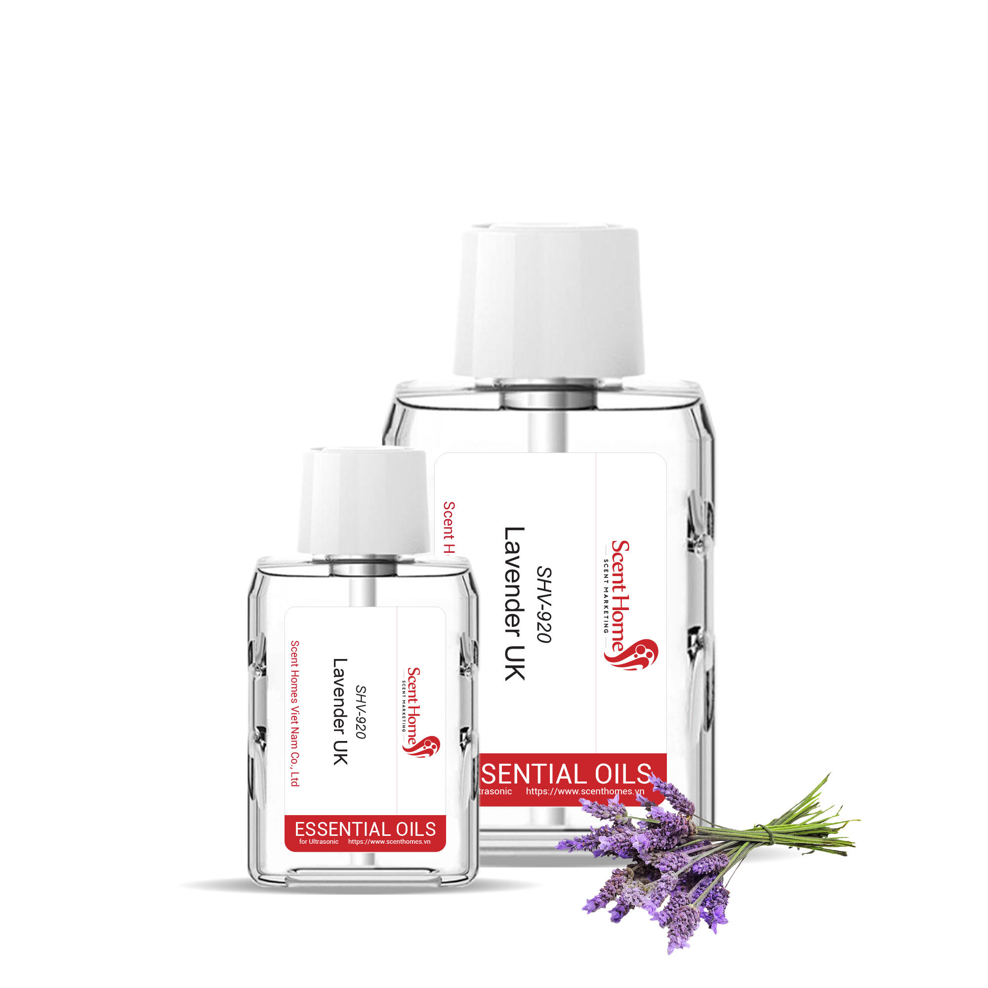 Tinh dầu Lavender UK