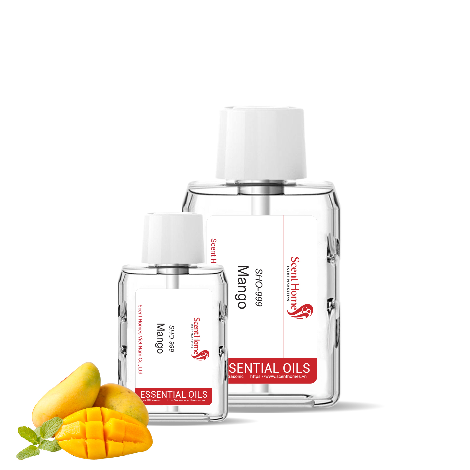 Tinh dầu Mango