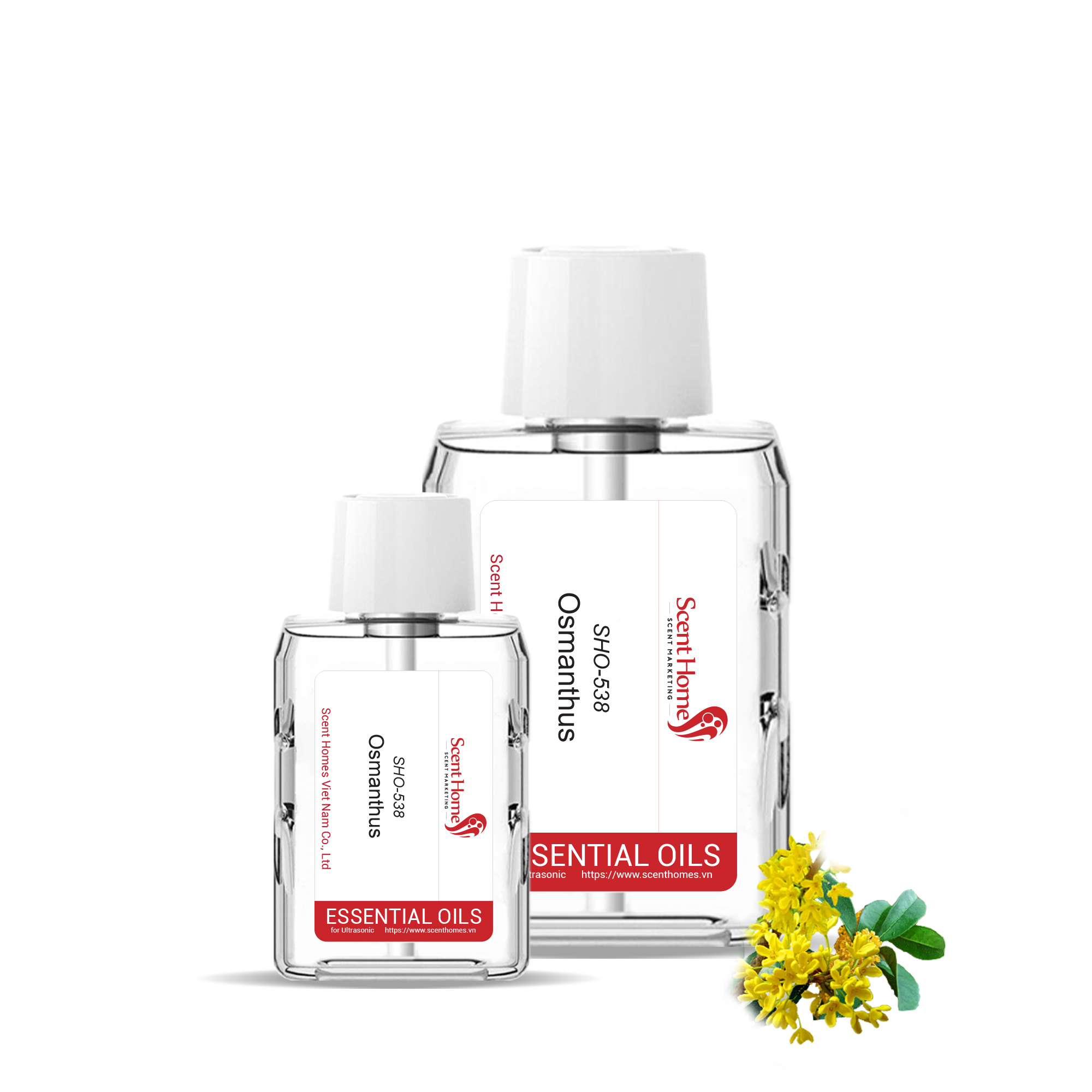 Tinh dầu Osmanthus