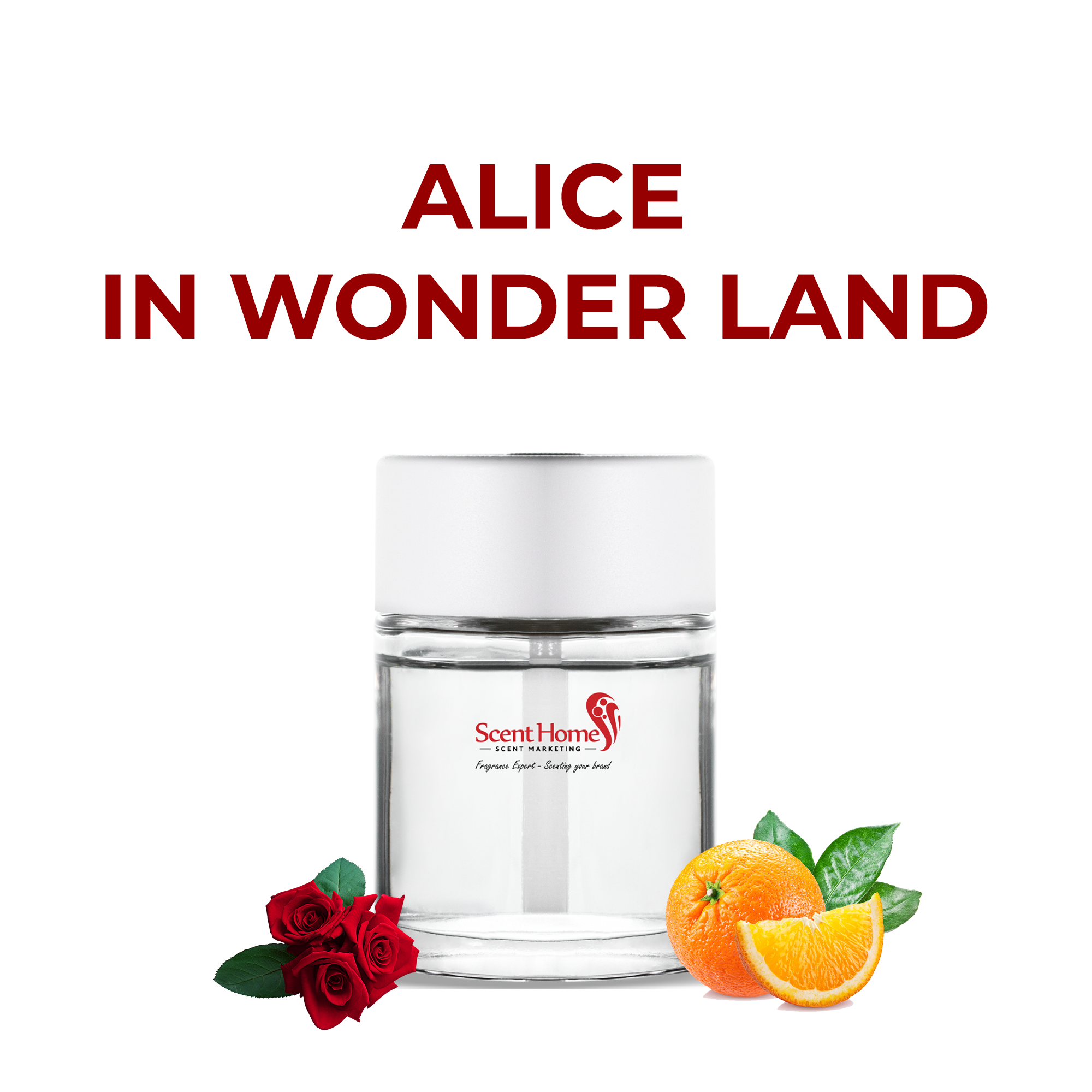 Tinh dầu Alice in Wonder Land