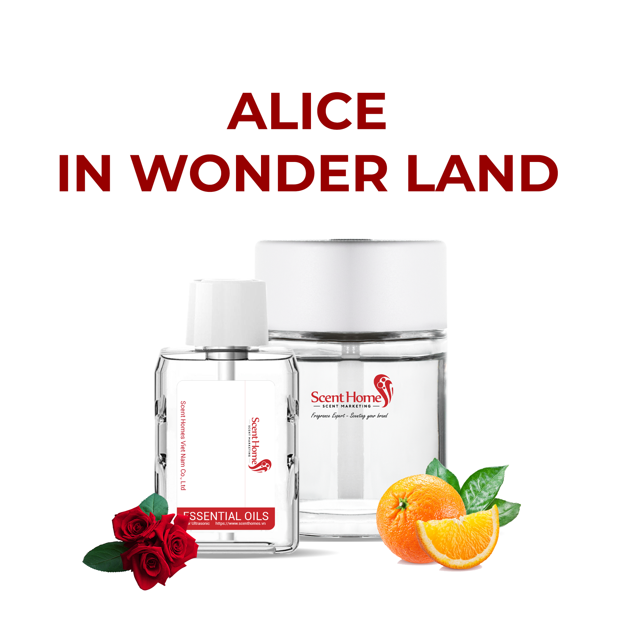 Tinh dầu Alice in Wonder Land