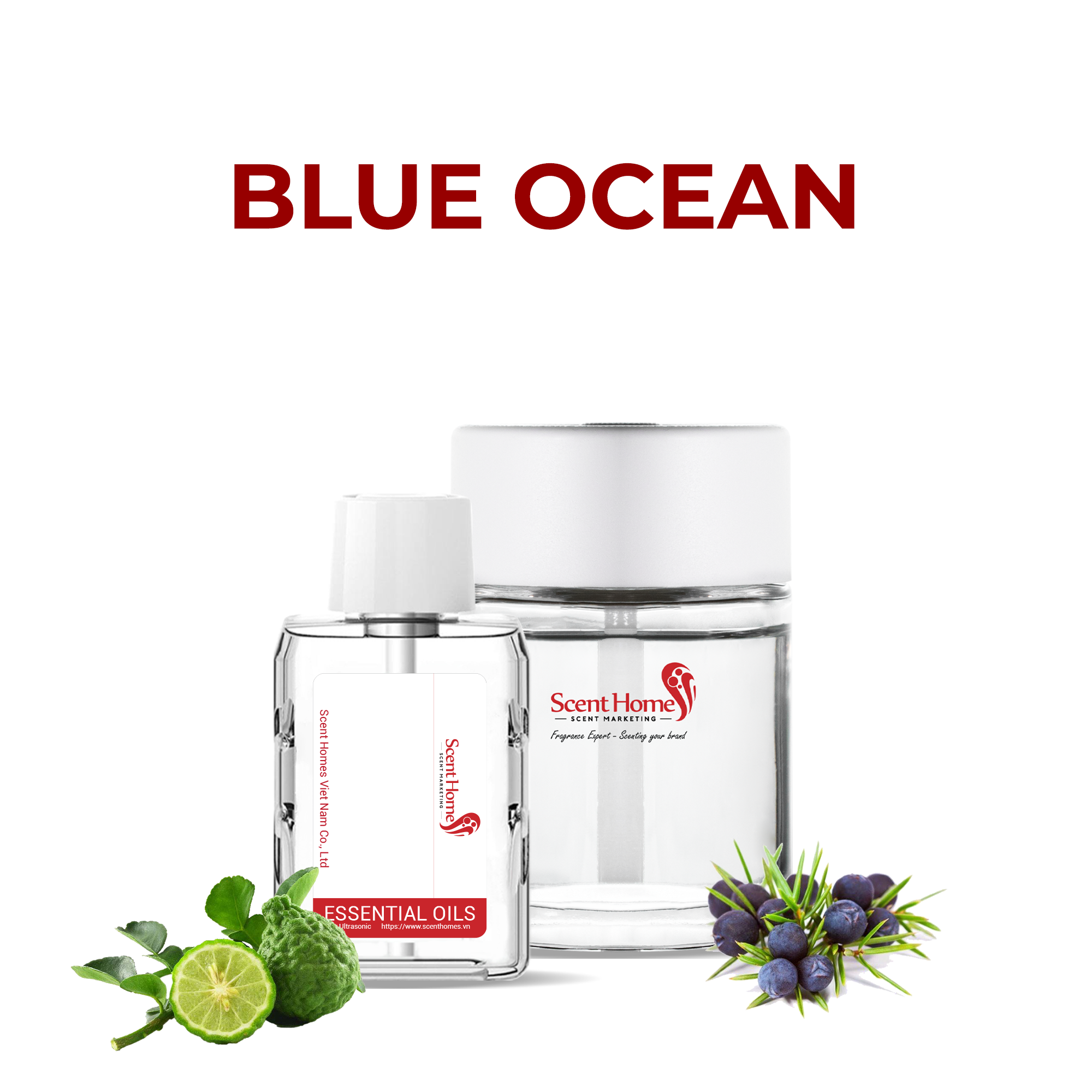 Tinh dầu Blue Ocean