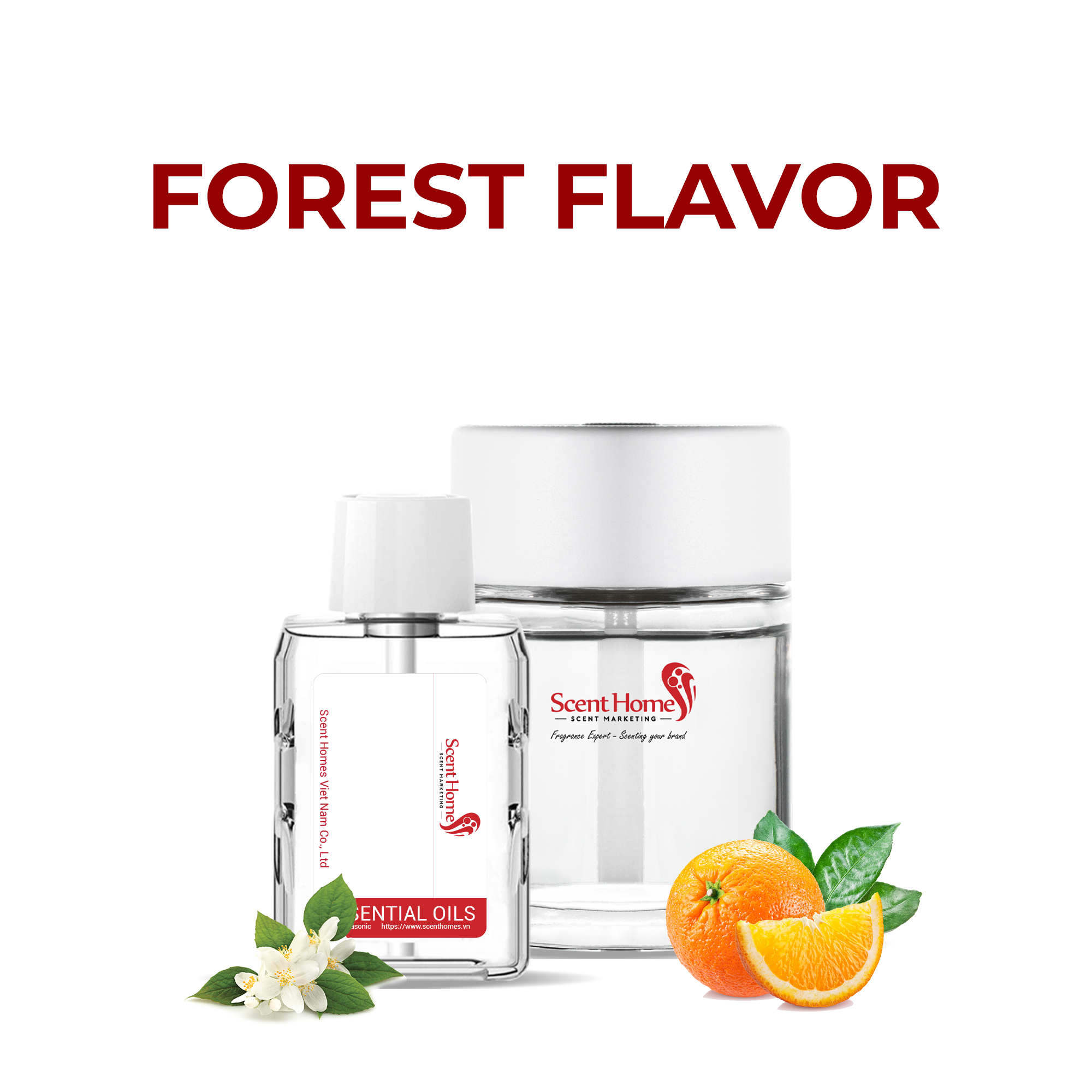 Tinh dầu Forest Flavor