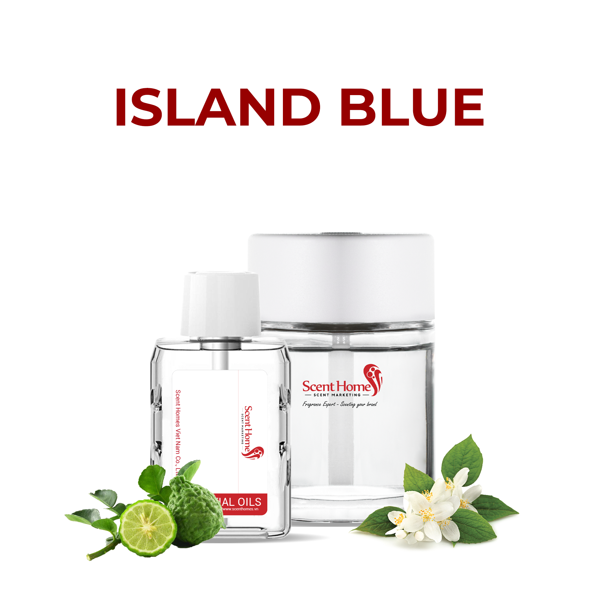 Tinh dầu Island Blue