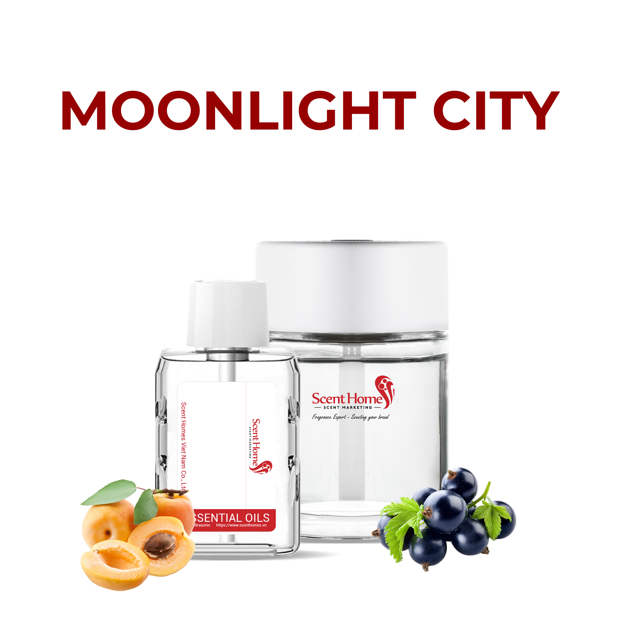 Tinh dầu Moonlight City